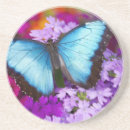 Search for tropical butterfly coasters Colourful