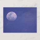 Search for galapagos islands postcards Landscape