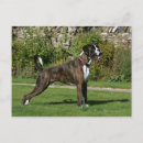 Search for brindle postcards Bob and pam langrish