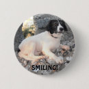Search for collies badges Pets