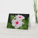 Search for flower prayer cards Faith