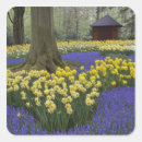 Search for hyacinth stickers Garden