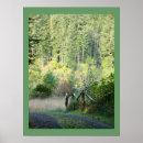 Search for forest path photography Hiking