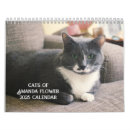 Search for cat office supplies Flower
