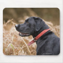 Search for profile mousepads Outdoors