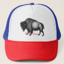 Search for bison hats Great plains