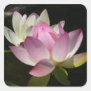 Search for purple lotus flower stickers Nature