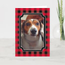 Search for humorous dog cards Puppy