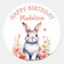 Search for happy bunny stickers Pink