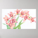 Search for pink flower posters Floral