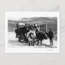 Search for team postcards Photograph