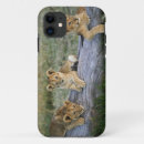 Search for cub iphone cases Kenya
