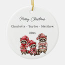 Search for raccoon christmas tree decorations Cute