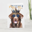 Search for chocolate lab cards Dogs