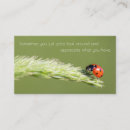Search for ladybug quote Motivational