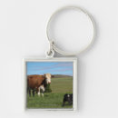 Search for large image key rings Horizontal