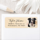 Search for collie return address labels Dog