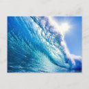 Search for animals photo postcards Birds