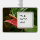 Search for calla lily christmas tree decorations Floral