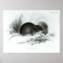 Search for evolutionary art Theory