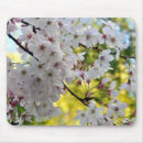 Search for cherry blossoms mousepads Trees
