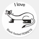 Search for prairie dogs stickers Wildlife