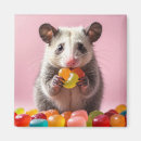 Search for possum magnets Animal