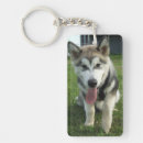 Search for sled dog key rings Alaskan malamute