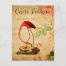 Search for vintage cartes postales French