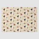 Search for pig tissue paper Cute