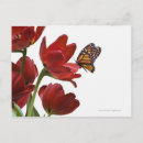 Search for emerging postcards Emergence