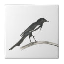 Search for magpie tiles Nature