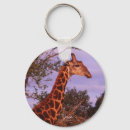 Search for giraffe pictures key rings Mammal