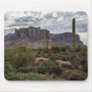 Search for superstition electronics Saguaro cactus