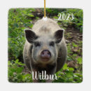 Search for mini christmas tree decorations Animal