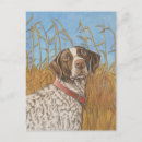 Search for german shorthaired postcards Hunting