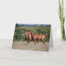 Search for chestnut horse cards Breed