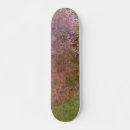 Search for natures skateboards Abstract