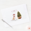 Search for chihuahua funny stickers Dog