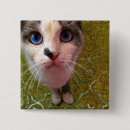 Search for hungry badges Animal