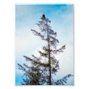 Search for bird watching posters Outdoors