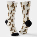 Search for labrador socks Pattern