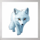 Search for arctic fox art Portrait
