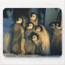 Search for cute penguins mousepads Baby