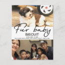 Search for dog photos postcards Fur baby