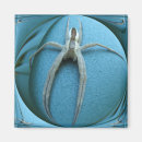 Search for arachnids magnets Nature