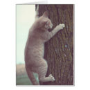 Search for hang in there cat cards Tree