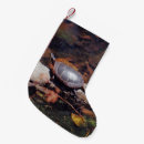 Search for turtle christmas stockings Nature