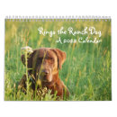 Search for lab calendars Dog
