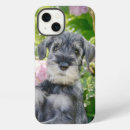 Search for schnauzer iphone cases Puppy